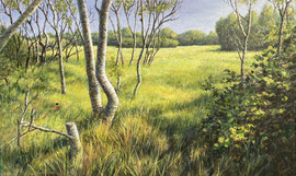 Schier, Berken in het zonnige gras, a/p, 122x74cm