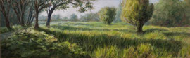 º Hoornsedijk, vroeg, a/p, 68x22cm, '09