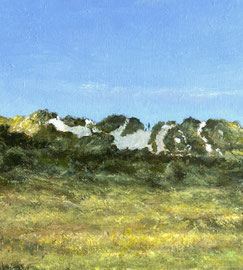 º Zomerse duinen met vuurtoren, ged.