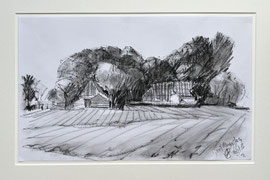 Groot Maarslag, siberisch krijt, 42x28 cm
