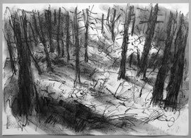 Ameland, bospad, krijt, A3