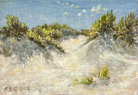 º Duintjes, voor in de koffer, o/a/mar, 7,3x5,1cm
