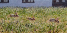 Drie konijntjes, o/a/p, 24x11cm