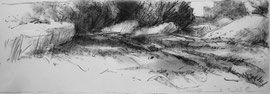 Bij de Hoornsedijk, riet, krijt, 95x19,5cm