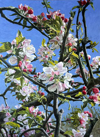 Appelbloesems, o/a/p, 80x110cm