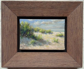 º Nieuwe duintjes, a/doek, 10x7cm