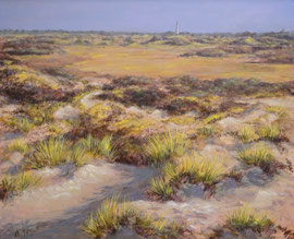 º Zicht vanaf de duinen, o/a/p, 70x57cm