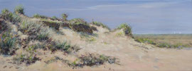 Duinpan bij de Badweg, o/a/p, 40x15cm 