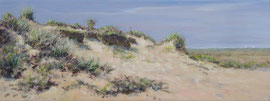 Duinpan bij de Badweg, o/a/p, 40x15cm 