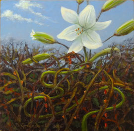 º De lelie worstelt, maar bloeit weer', o/a/p, 27x27cm, opdracht
