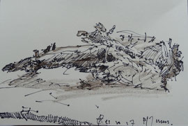 In museum Horst Jansen, stronk, stift en kleur, ca. A5