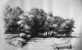 Hoornsedijk, twee wilgjes, krijt, 145x90cm