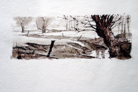 Hoornse Bulten, bij Grolloo, rietpen, inkt,