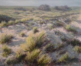 º Duinen bij de Buren, o/a/p, 70x57cm