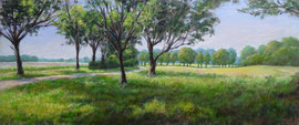 º Akkers en Wegje, o/a/p, 89x38cm