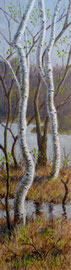 º Berken, tegen het voorjaar, 2, a/p, 33x122cm