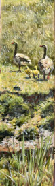 Ganzenfamilie, detail