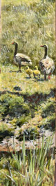 - Ganzenfamilie, detail