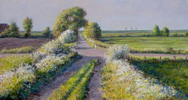 Noordpolder met fluitekruid, in de avondzon, a/p, 30x16cm