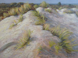 Duintop, o/a/p, 80x60cm