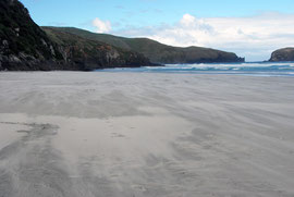 Allans Beach looking east