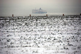 Field and ferry