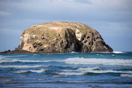 Whararekakahu Rock off Allans Beach