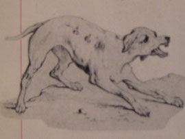 El Perro. Zundert, diciembre de 1862. Dibujo de niño, en lápiz 18 X 28.5 cm.