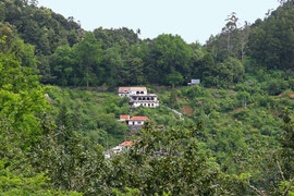 Quinta auf Madeira ( Landhaus )