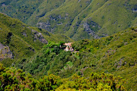 Quinta auf Madeira ( Landhaus )