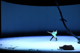 MYTHOS// Staatstheater Karlsruhe // 2014 // Choreografie: Tim Plegge