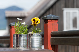 Blumenschmuck in Höfn