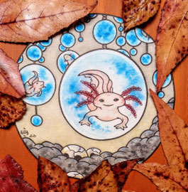 Axolotl, Ash