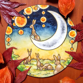 Hainan Hare, Misfit