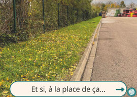 Oublier la bande rase