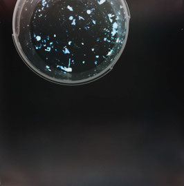 MARTA DJOURINA O.T. (DIE ENTMATERIALISIERUNG DES ALLTAGS), 2016, FILTERGRAMM, UNIKAT,76 X 76 CM