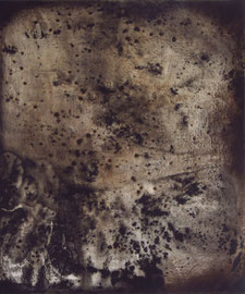 PHILIP SPIEGELBERG  O.T.    MISCHTECHNIK AUF HOLZ   2013    82 x 60 CM 