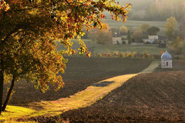 Tapis d'automne