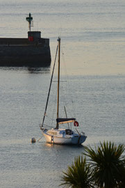 Tendres tropiques