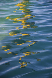 Serpent de mer
