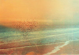 Mixed media, A4 paper, curpershreds, lightbox, photo. Edition 1/1