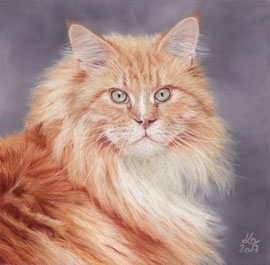 "Oscar", Maine Coon cat, pastel on pastelmat, 20 x 20 cm, reference photo Jorbasa Fotografie; SOLD - VERKAUFT