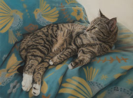 "Minnie", pastel on pastelmat, 50 x 40 cm, commission
