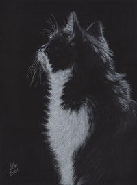 my "Lisa", white charcoal and pastel on Fabriano Black, 24 x 31 cm, own reference photo