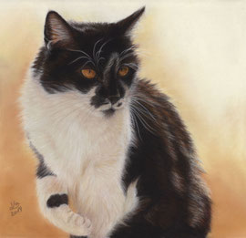 my "Lisa", pastel on pastelmat, 30 x 30 cm, own reference photo