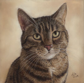 "Baby", pastel on pastelmat, 21 x 21 cm, commission