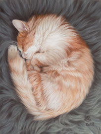 "Holly", pastel on pastelmat, 20 x 28 cm, commission