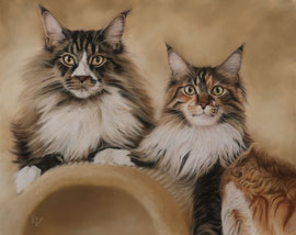 "Zazzels Paw + Zora Lee", Maine Coons, pastel on pastelmat,  50 x 40 cm, commission
