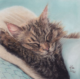"Loui", pastel on pastelmat, 15 x 15 cm, commission