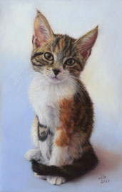 "Sady", pastel on pastelmat, 20 x 31 cm, commission